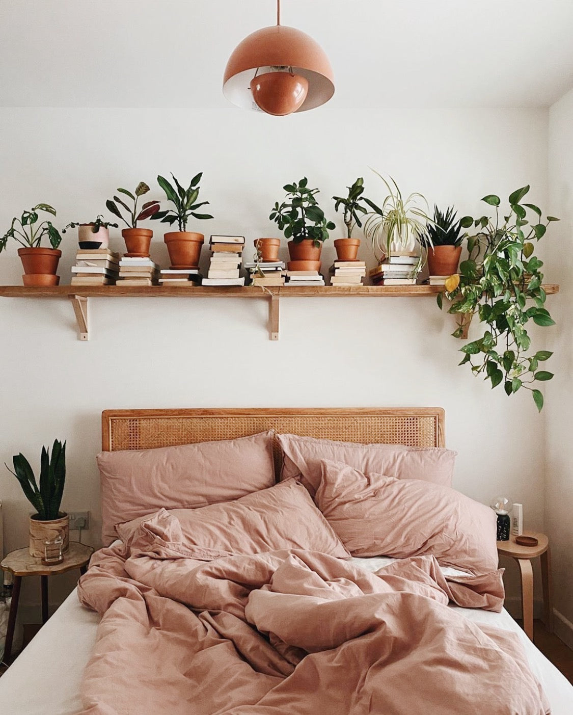 Comment mesurer le niveau de luminosité de mon emplacement de culture