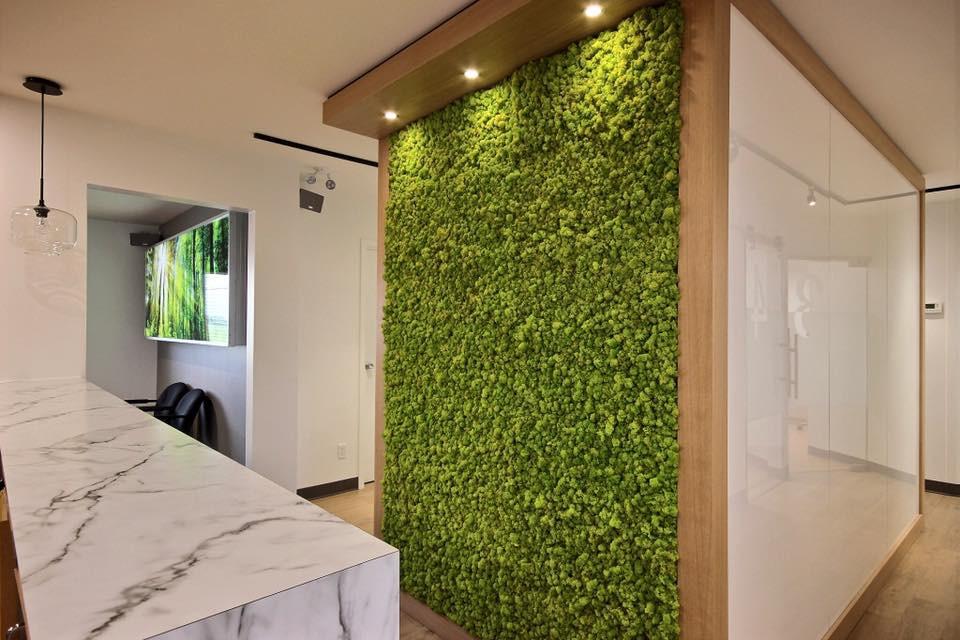 Cadre de mousse préservée : une touche verte à sa déco!