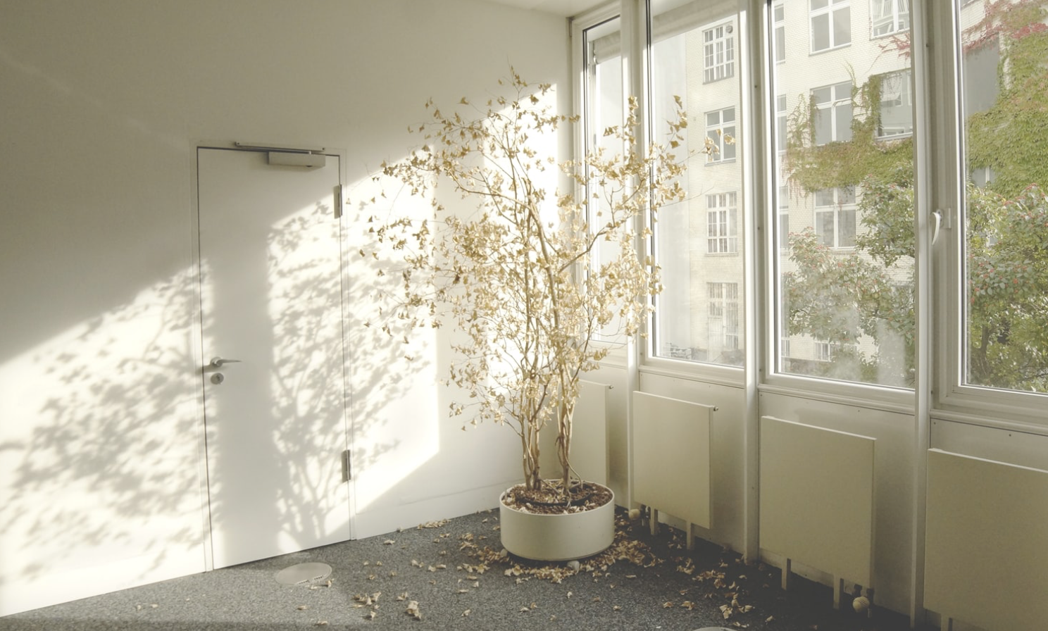 Le petit guide du tueur de plantes en série qui souhaite prendre sa retraite