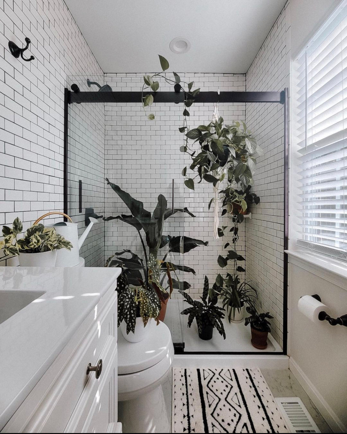 Entretien des plantes lors d’une absence prolongée.