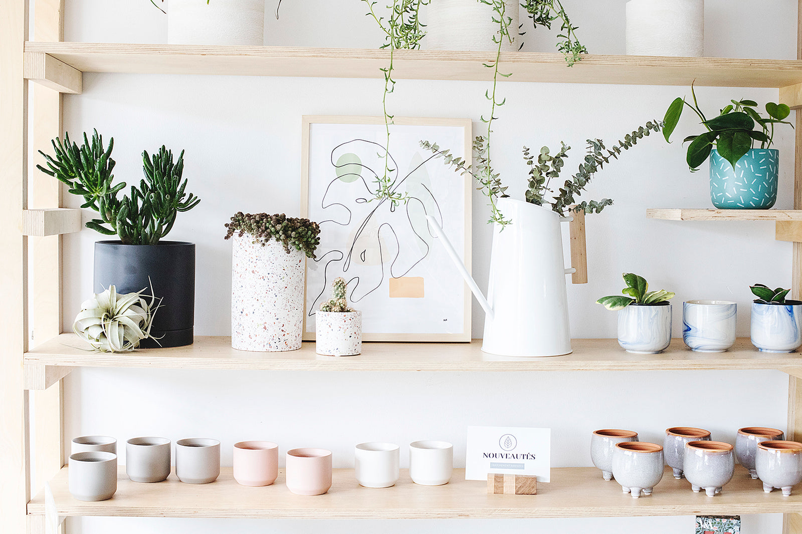 Choisir la bonne plante spécifiquement pour vous!