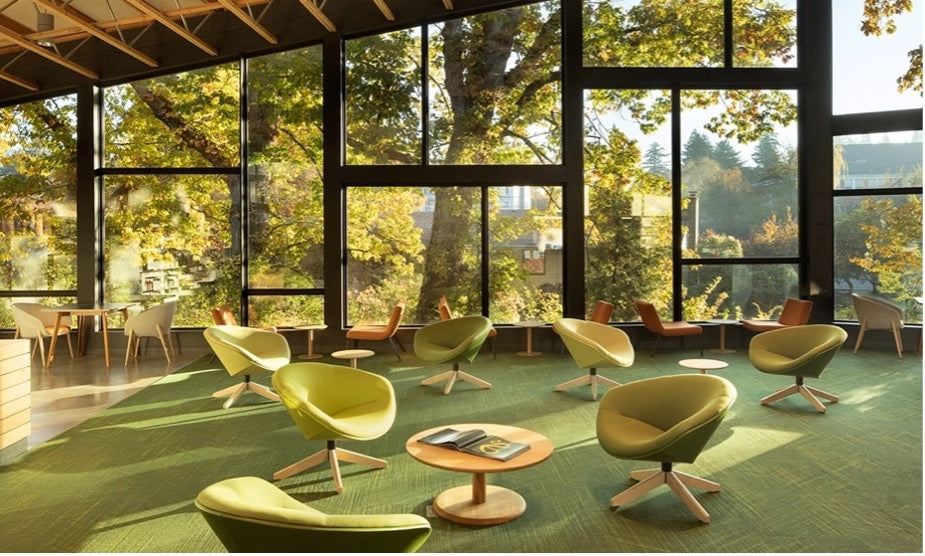 Qu’est-ce la biophilie et l’importance du design biophilique dans les espaces de travail?