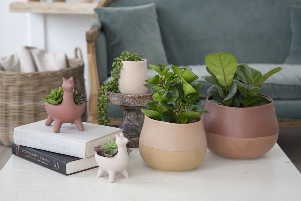 Pot « bulba »