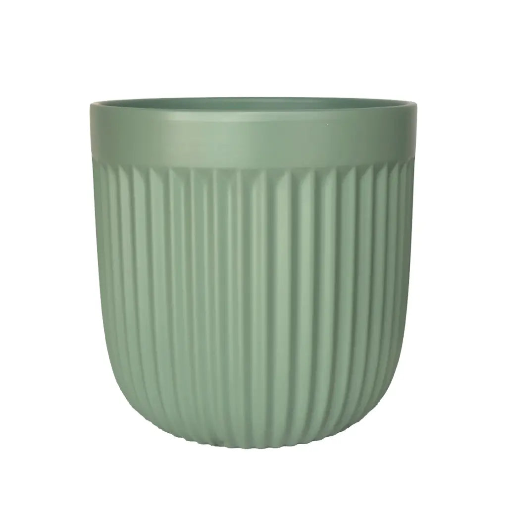 Pot Vivi