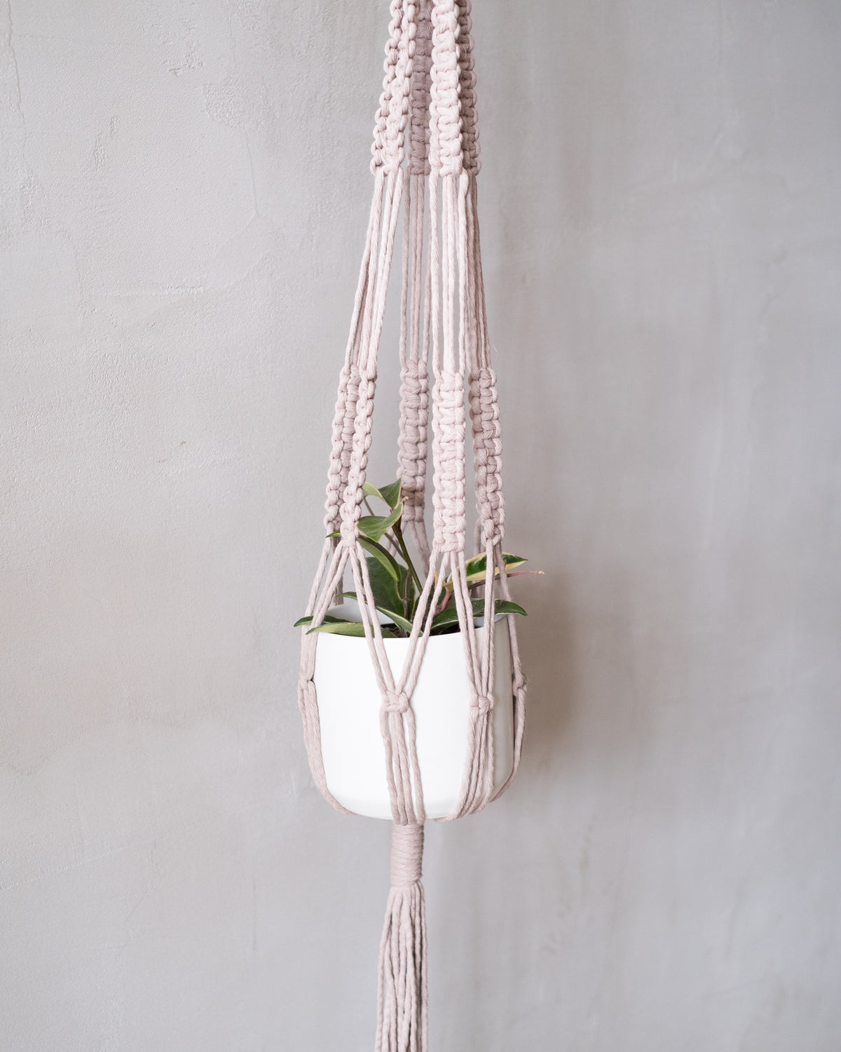 Jardinière en macramé « L'ambitieuse »