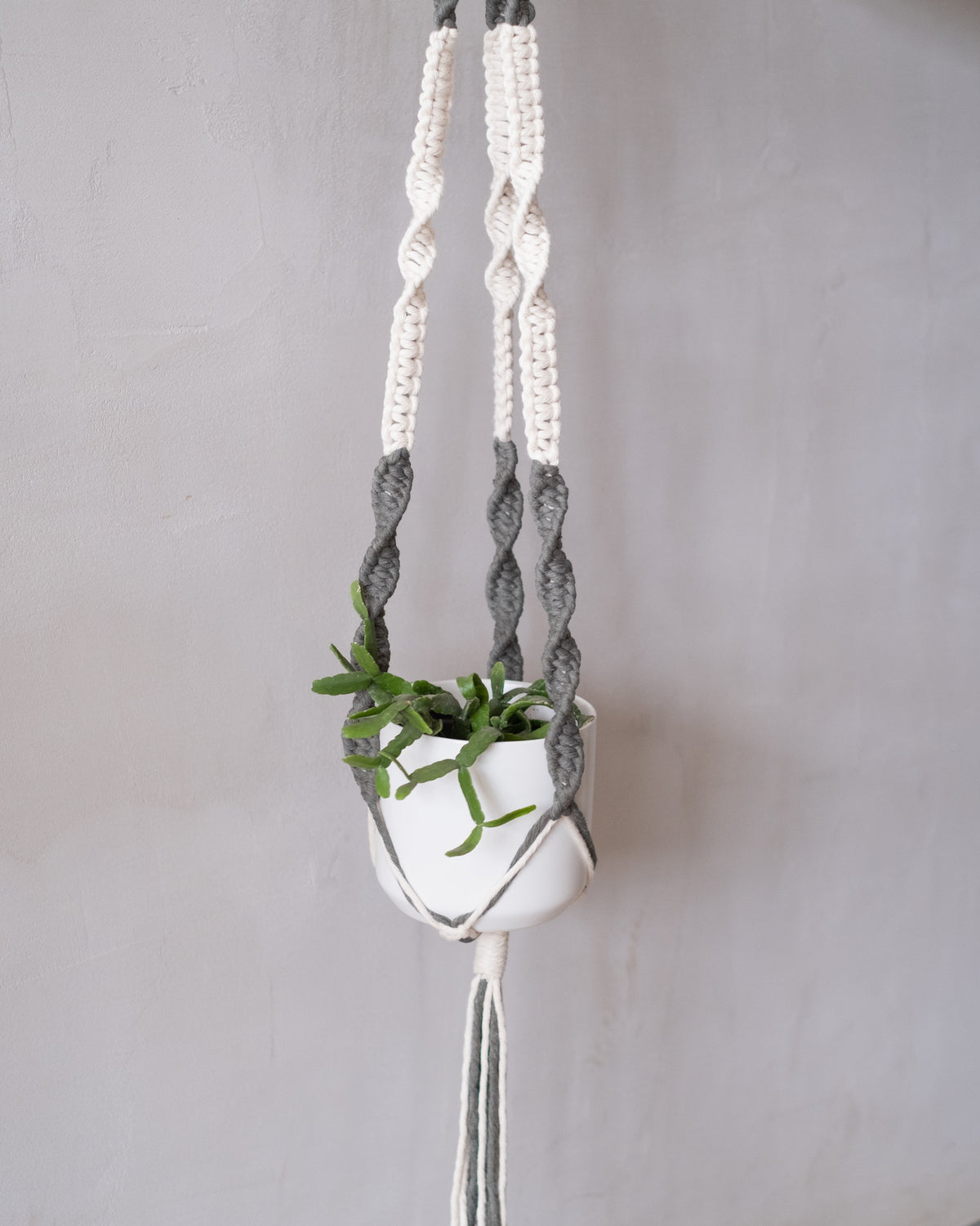 Jardinière en macramé « La fusionnelle »