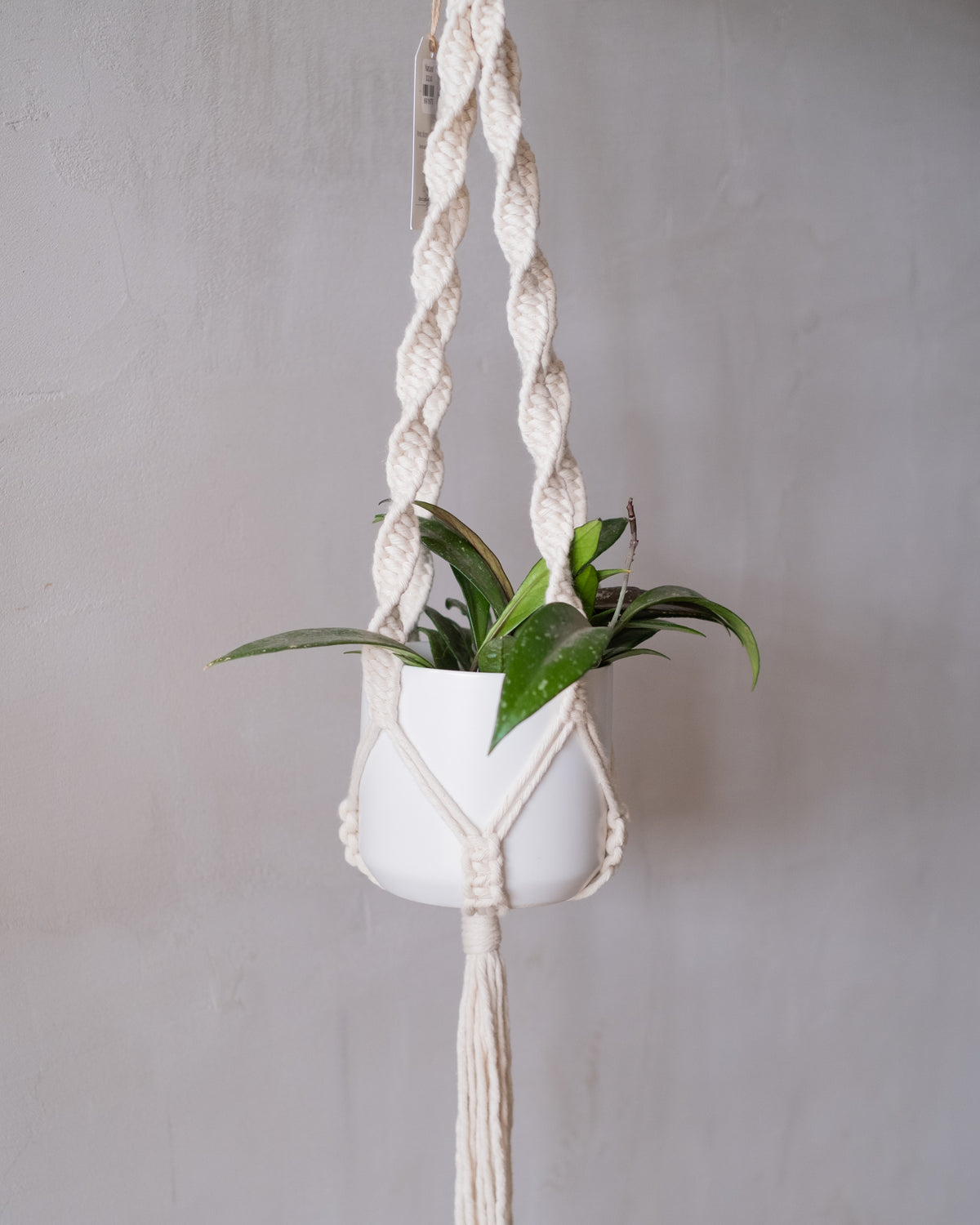 Jardinière en macramé « L'Harmonieuse »