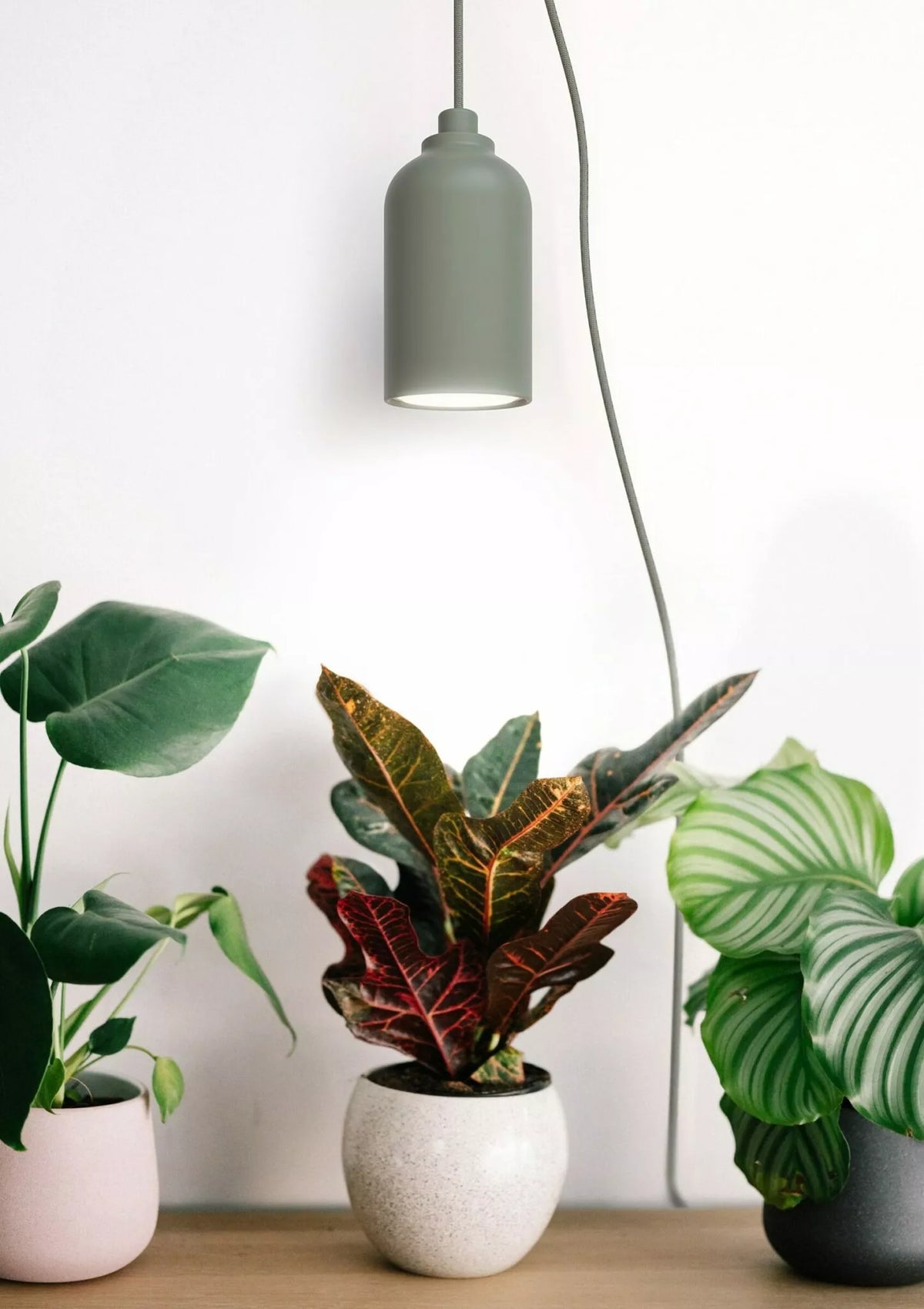 Lampe de croissance Margot