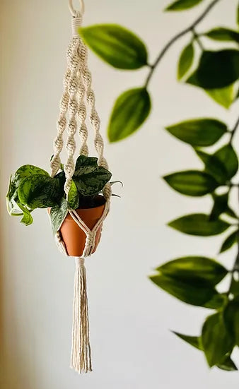 Jardinière en macramé « L'Harmonieuse »