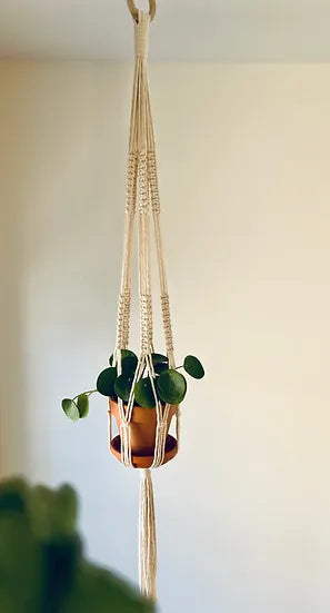 Jardinière en macramé « L'ambitieuse »