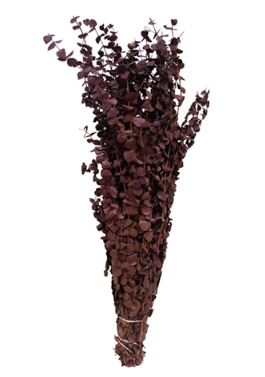 Bouquet de fleurs séchées