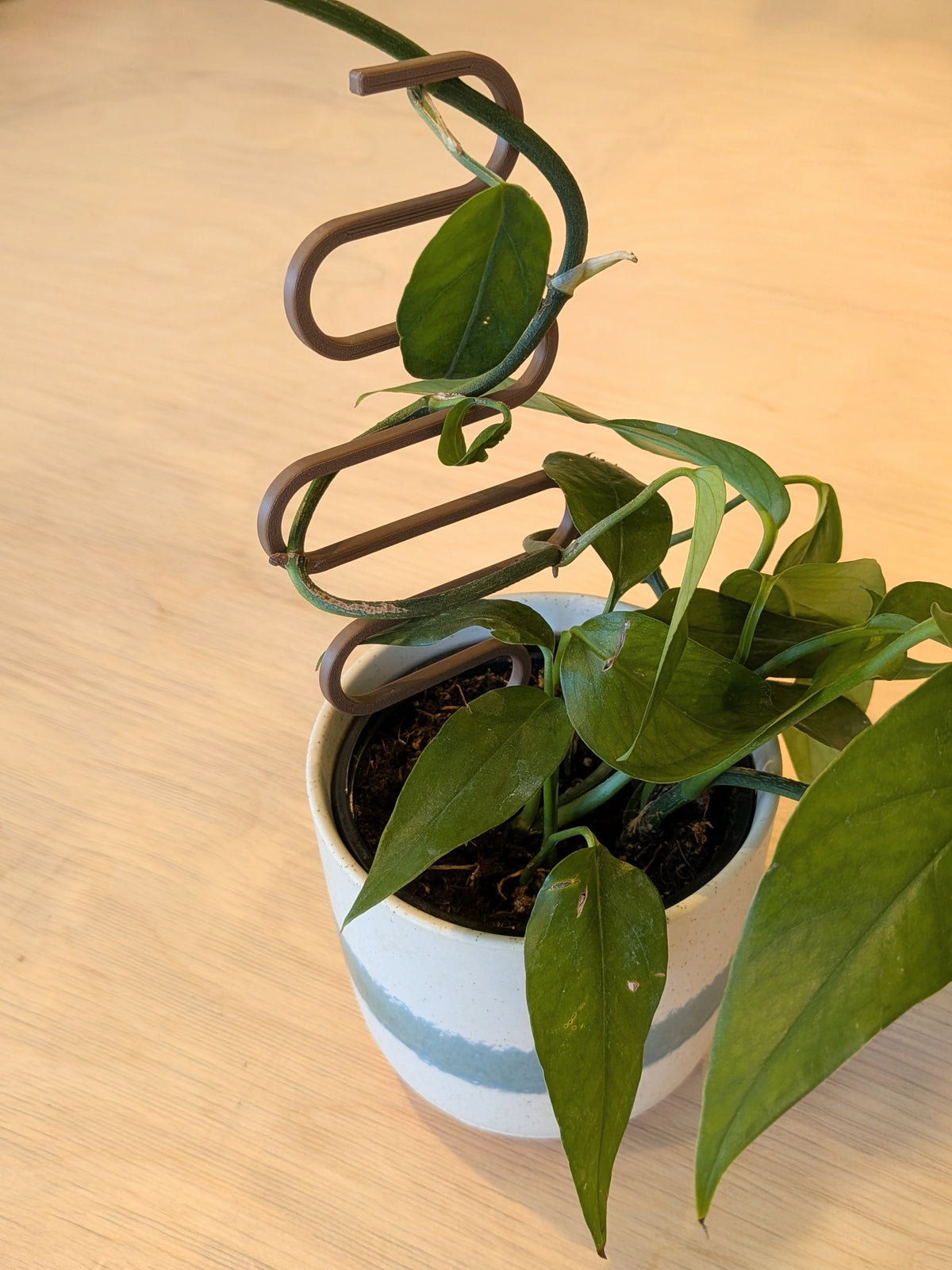 Support à plante
