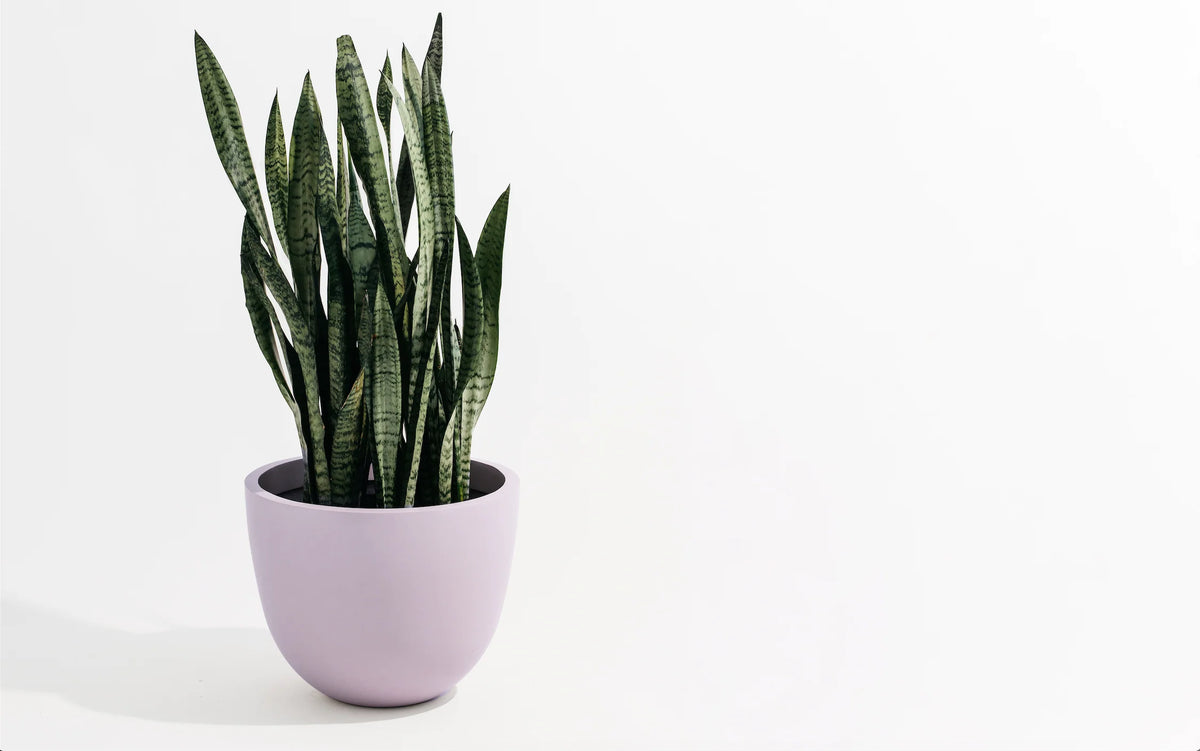 Pot Hudson and Oak - Round Planter