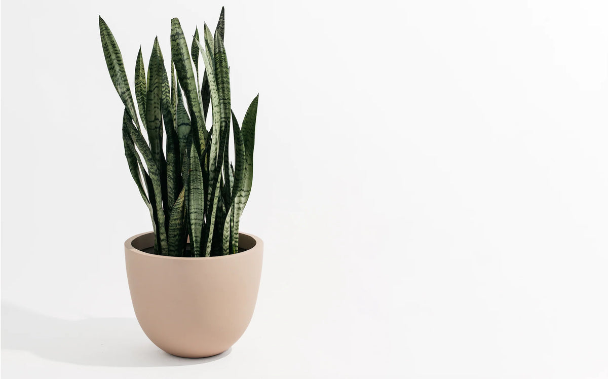 Pot Hudson and Oak - Round Planter