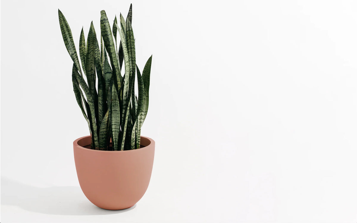 Pot Hudson and Oak - Round Planter