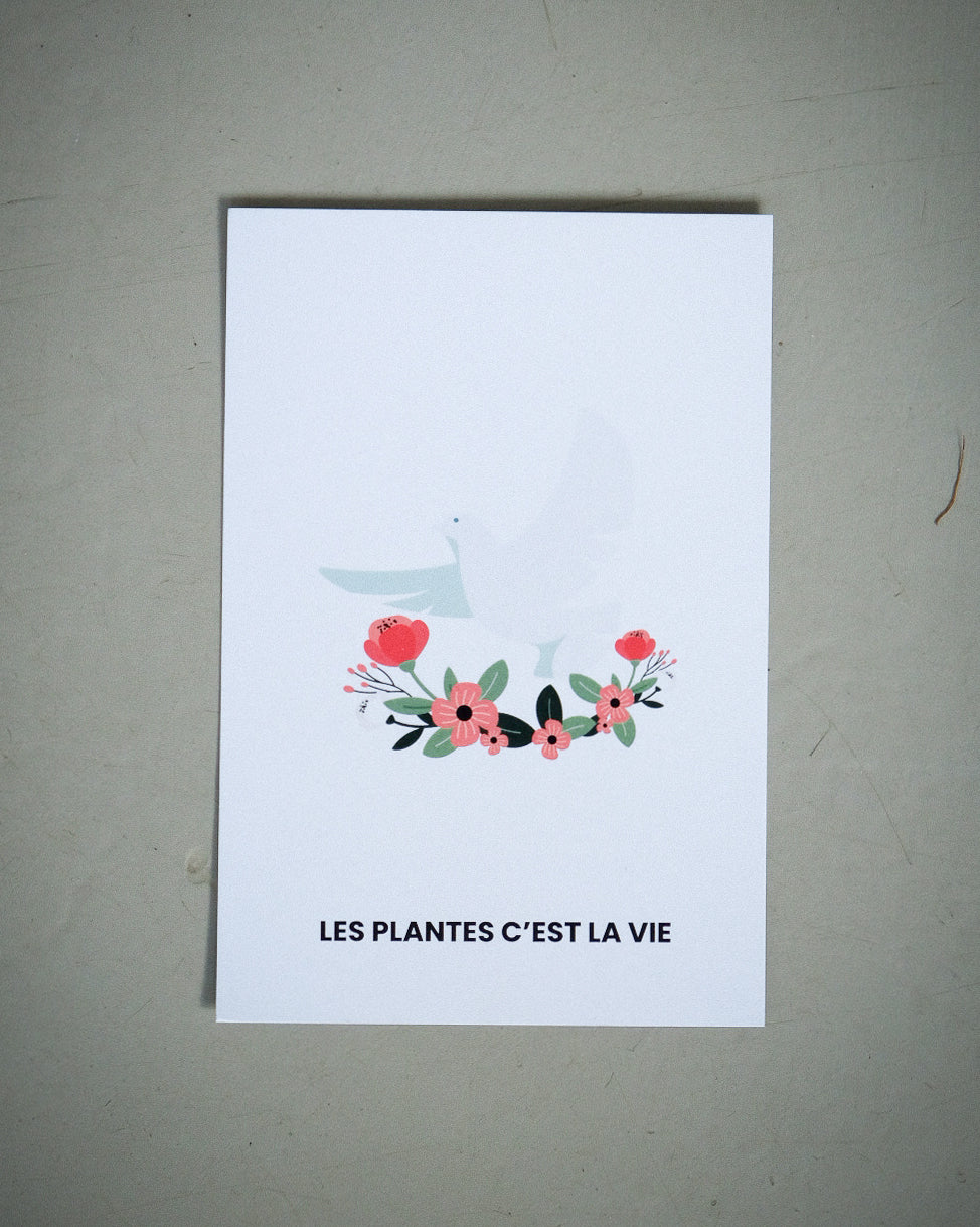 Carte de souhait FOLIA