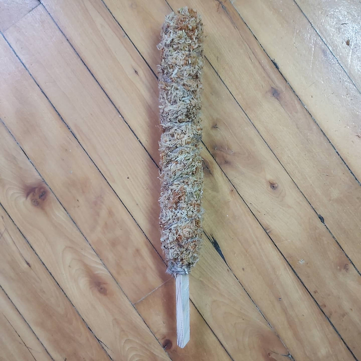 Tuteur en mousse de sphaigne