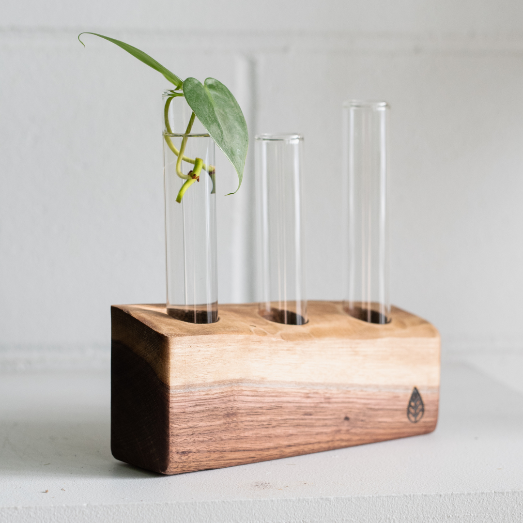 Station de bouturage