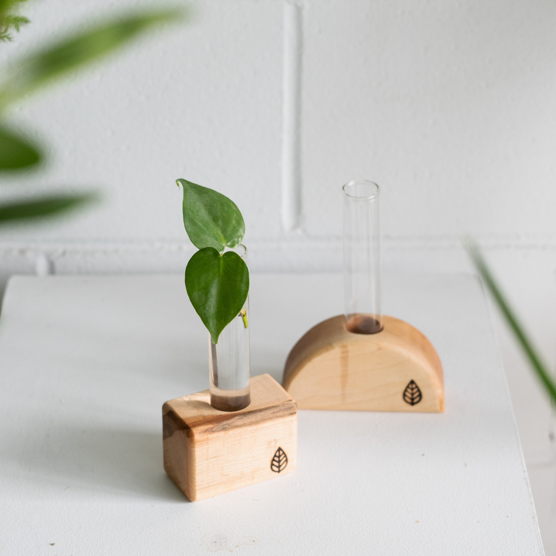 Station de bouturage