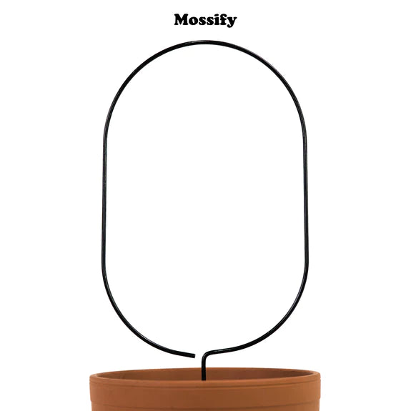 Trellis métal « Mossify »