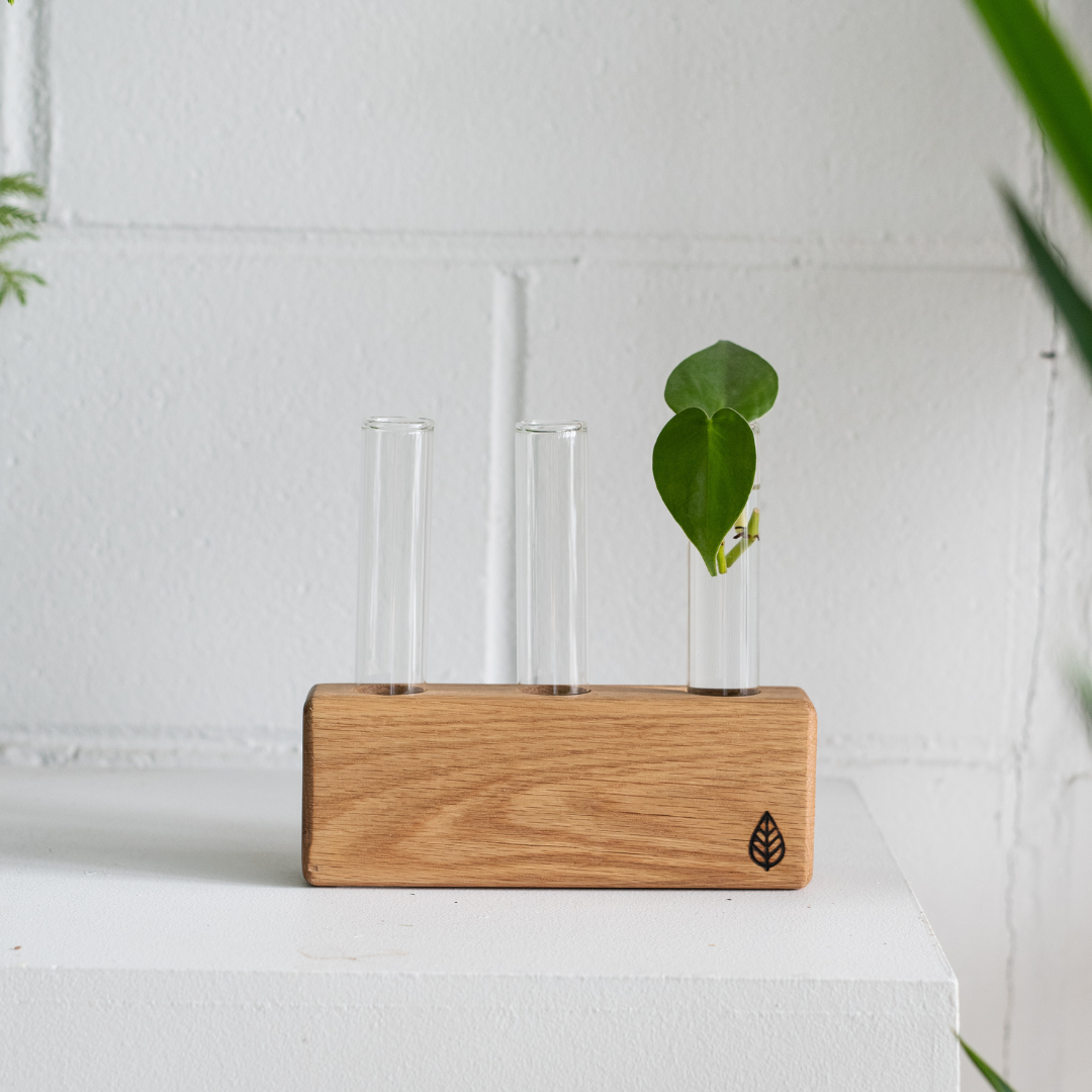 Station de bouturage