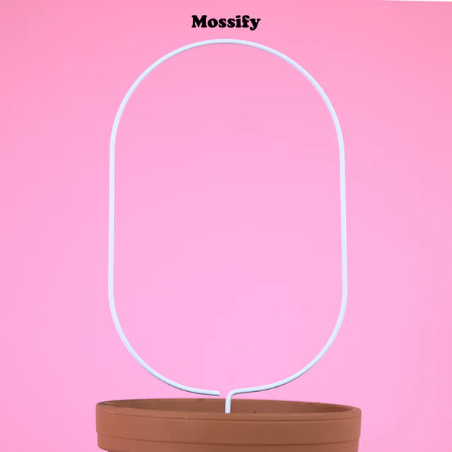 Trellis métal « Mossify »