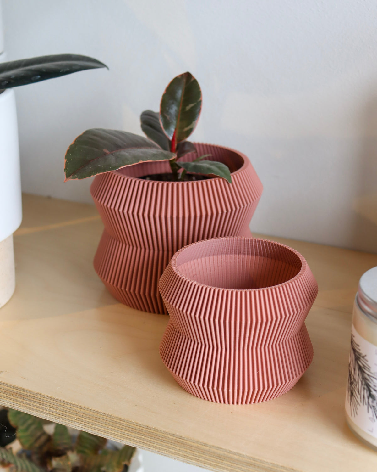 Pot « Le Rayonnant »