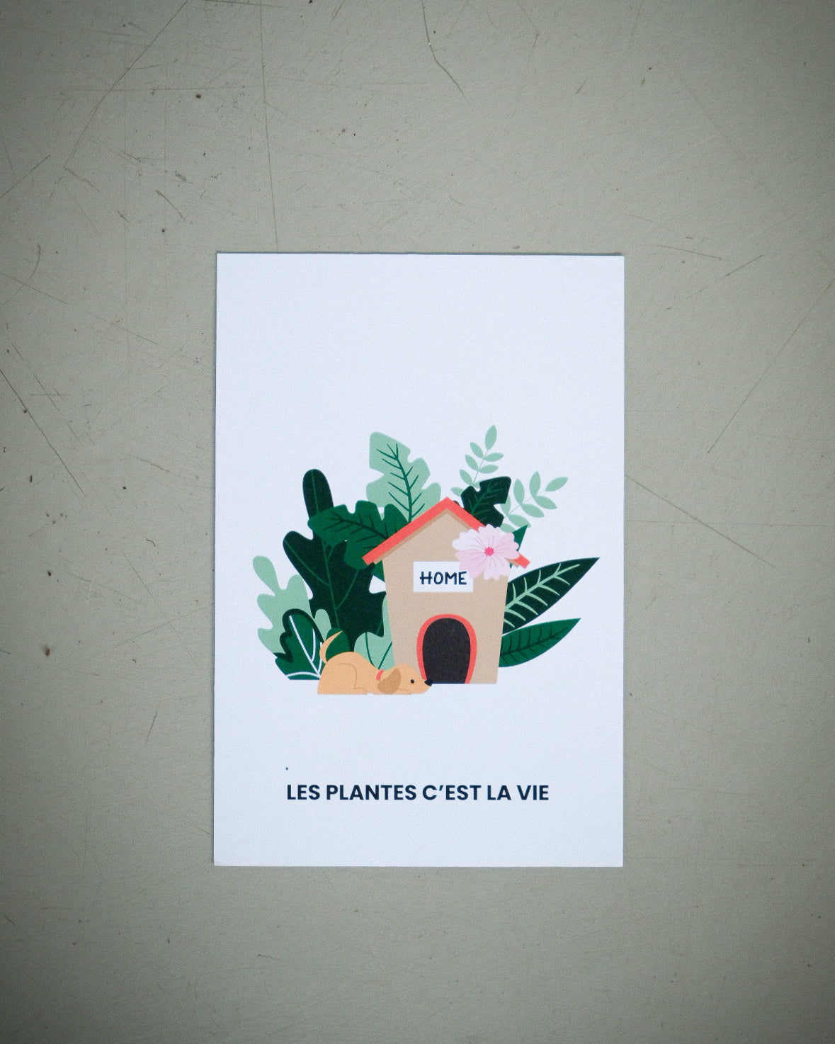 Carte de souhait FOLIA