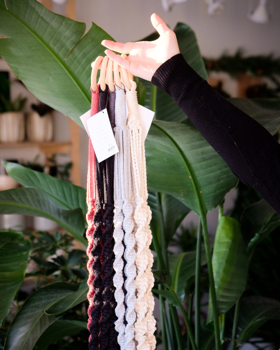 Jardinière macramé « Les Loleries » 