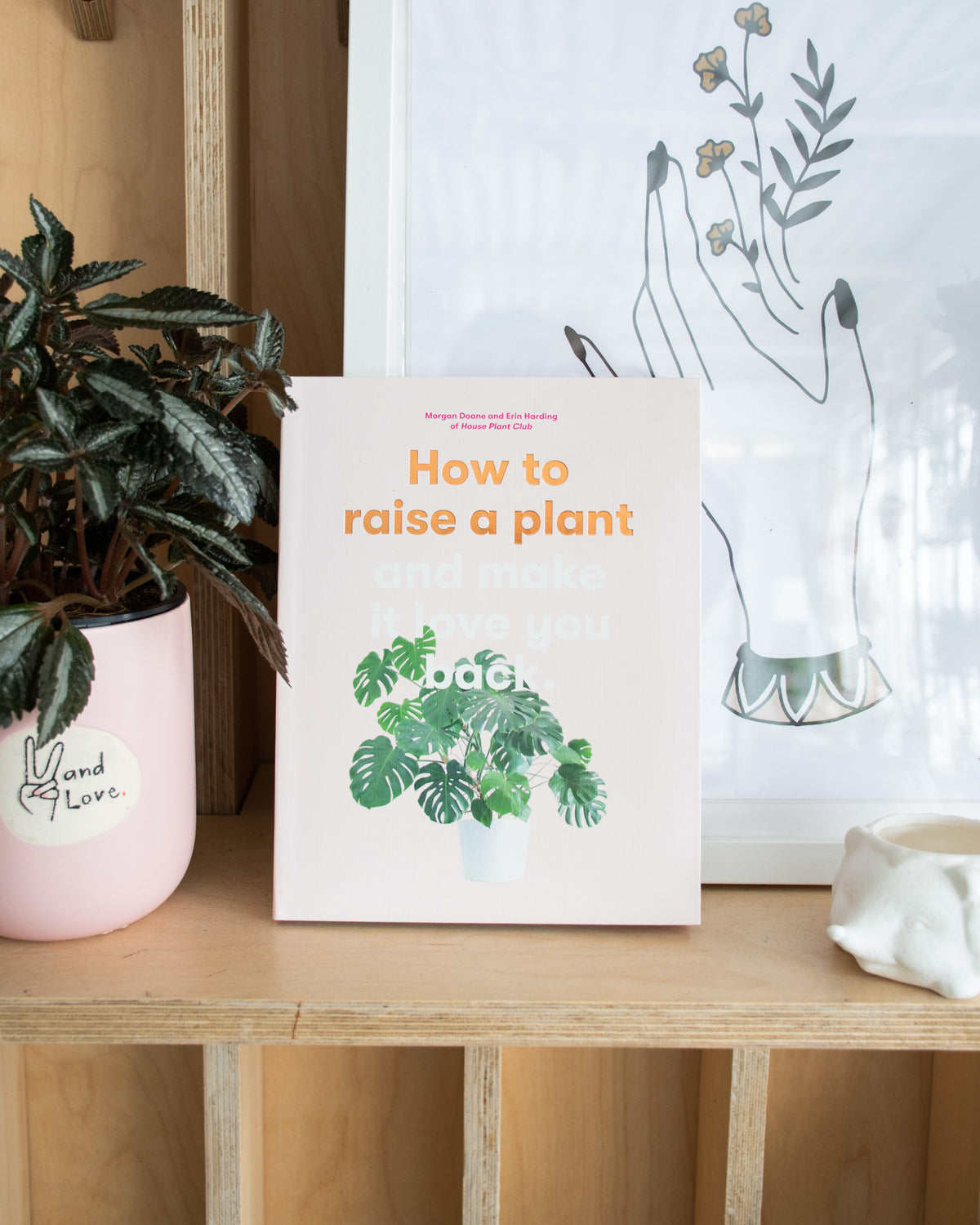 Livre: ''How to raise a plant''