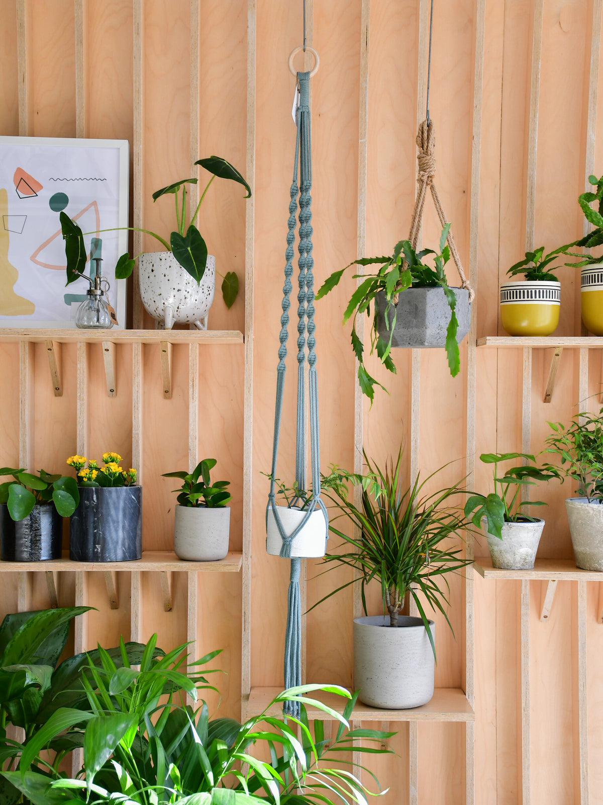 Jardinière macramé « Les Loleries » 