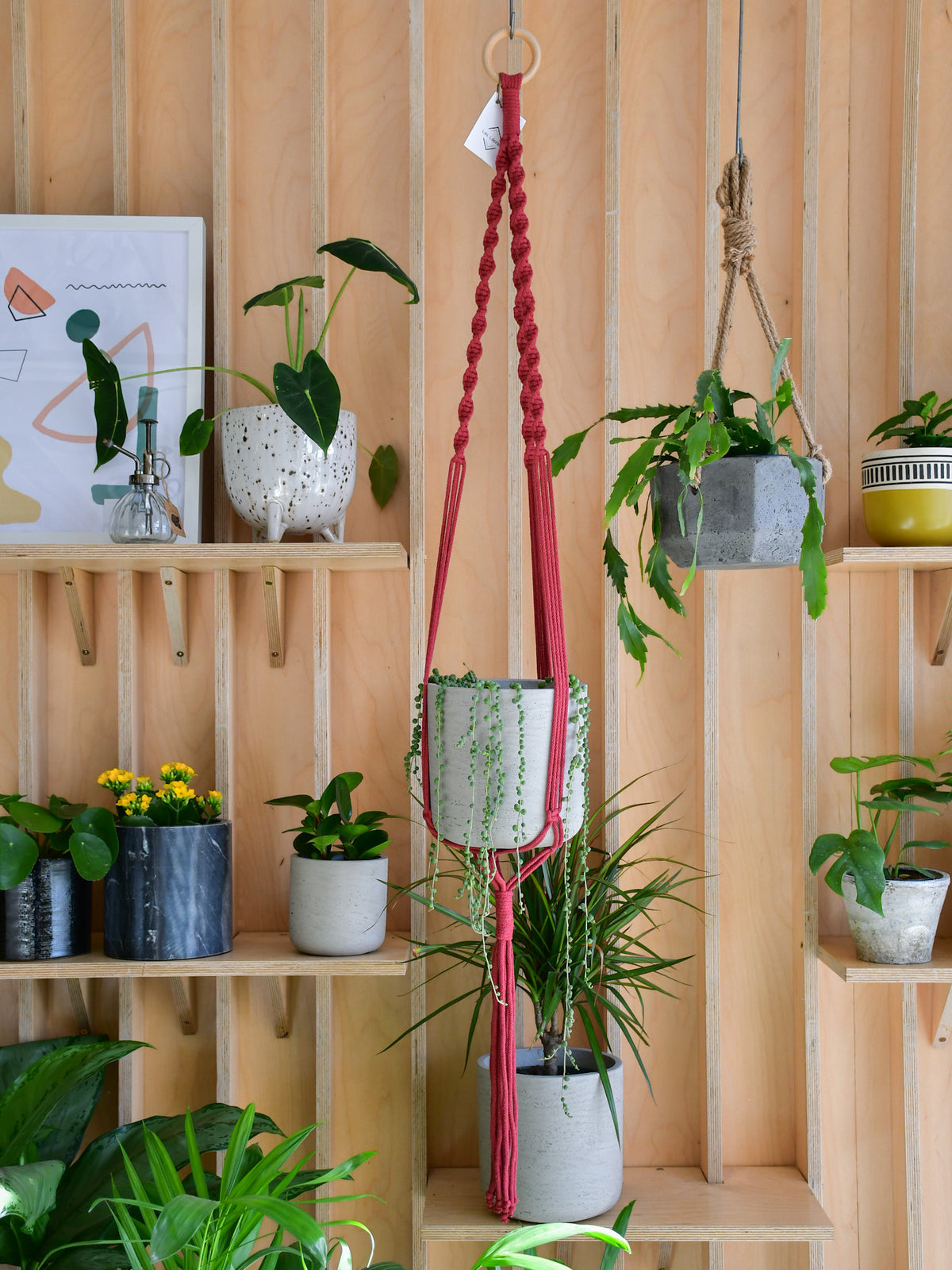 Jardinière macramé « Les Loleries » 
