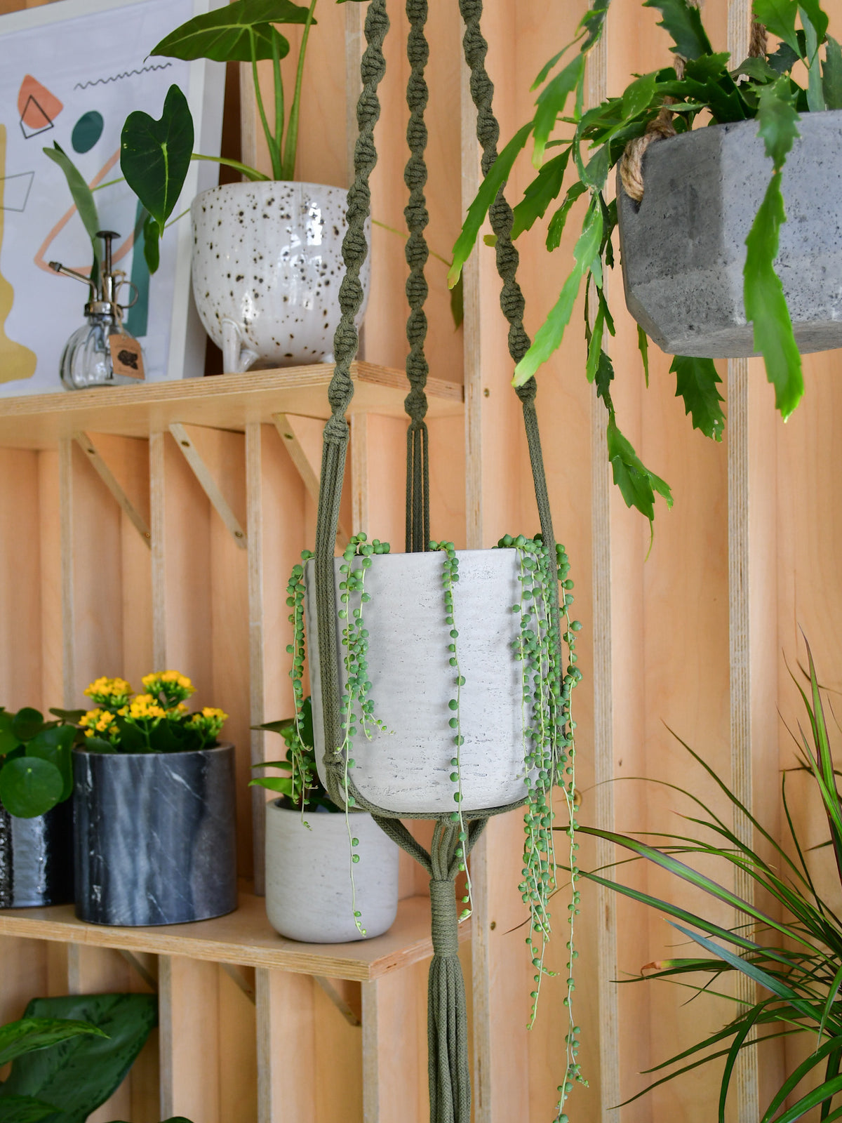 Jardinière macramé « Les Loleries » 