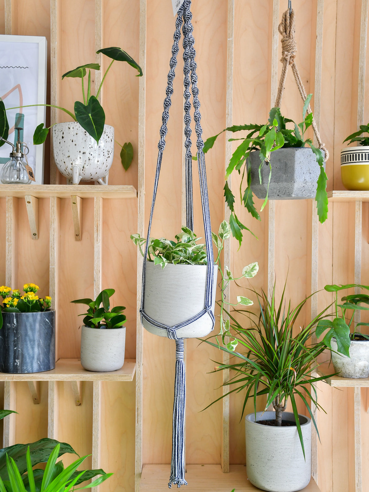 Jardinière macramé « Les Loleries » 