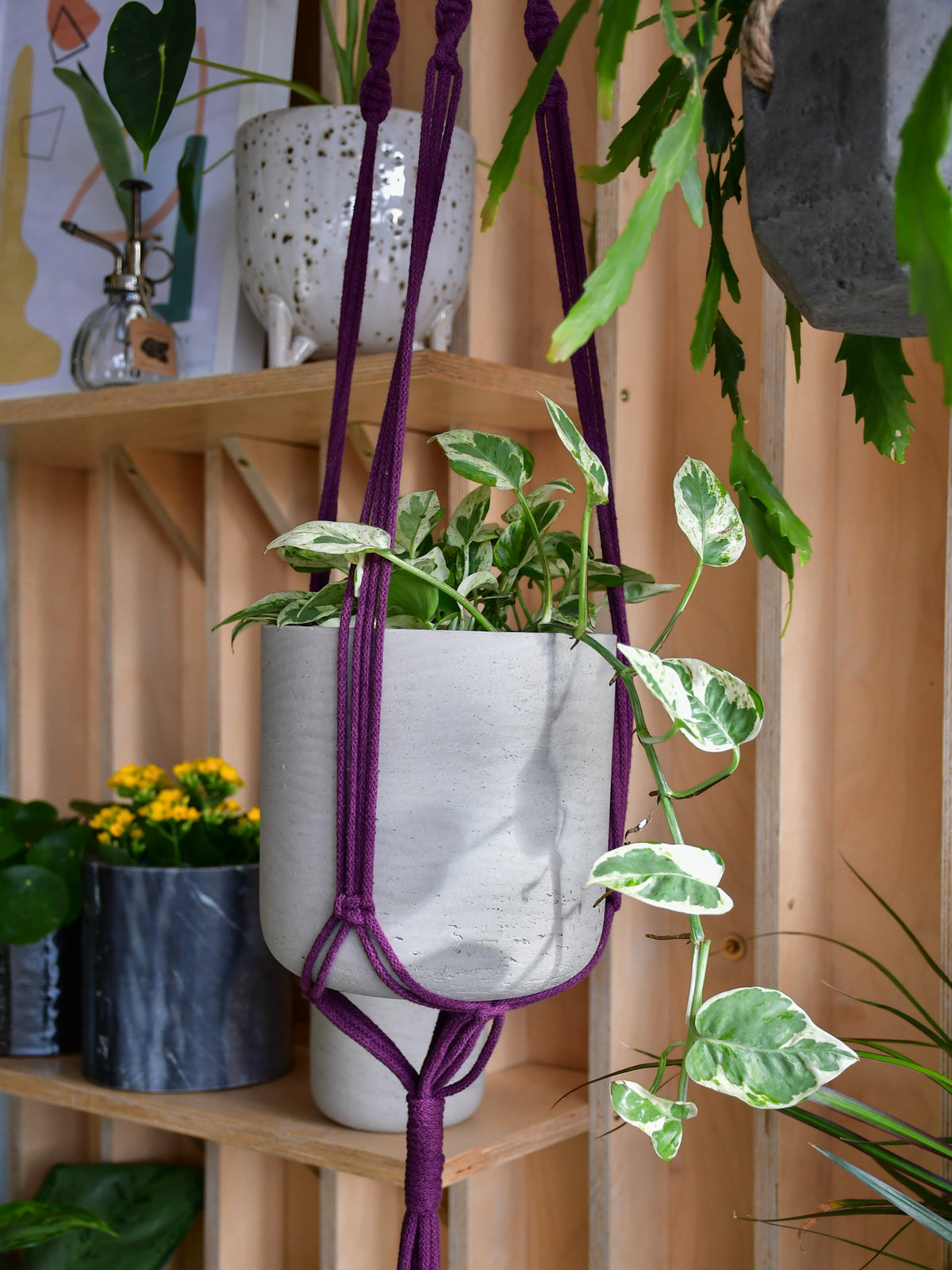 Jardinière macramé « Les Loleries » 