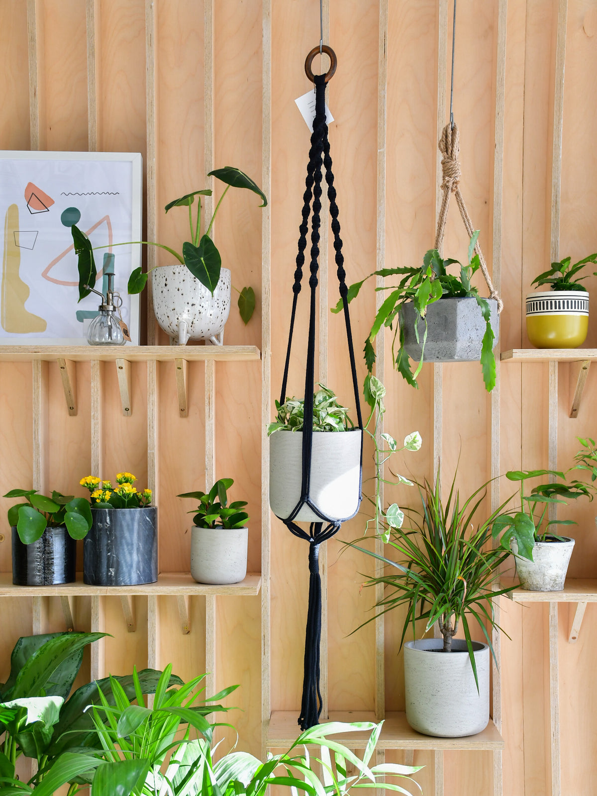 Jardinière macramé « Les Loleries » 