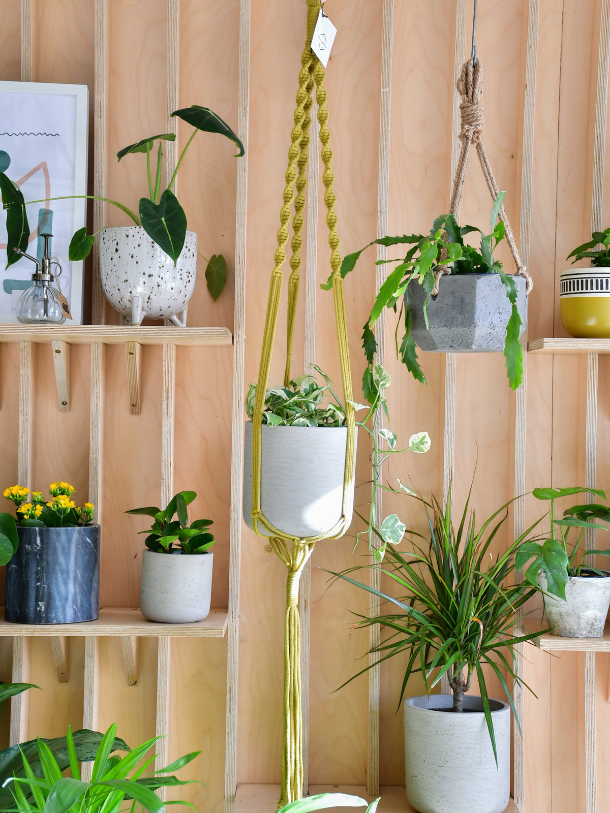 Jardinière macramé « Les Loleries » 