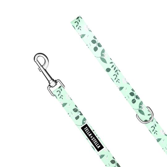 Laisse Hoya pour chien