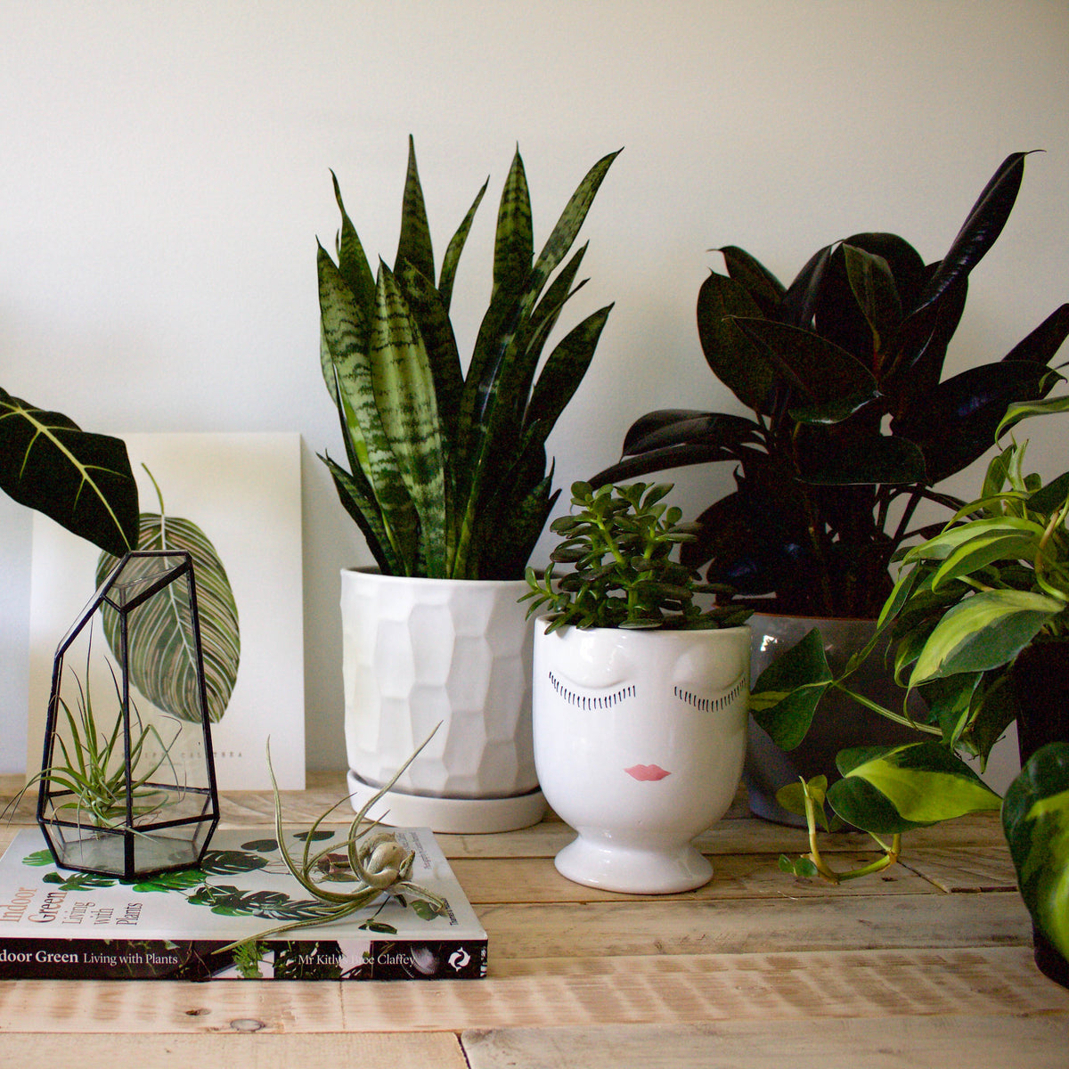 Livre « Living With Plants » couverture souple