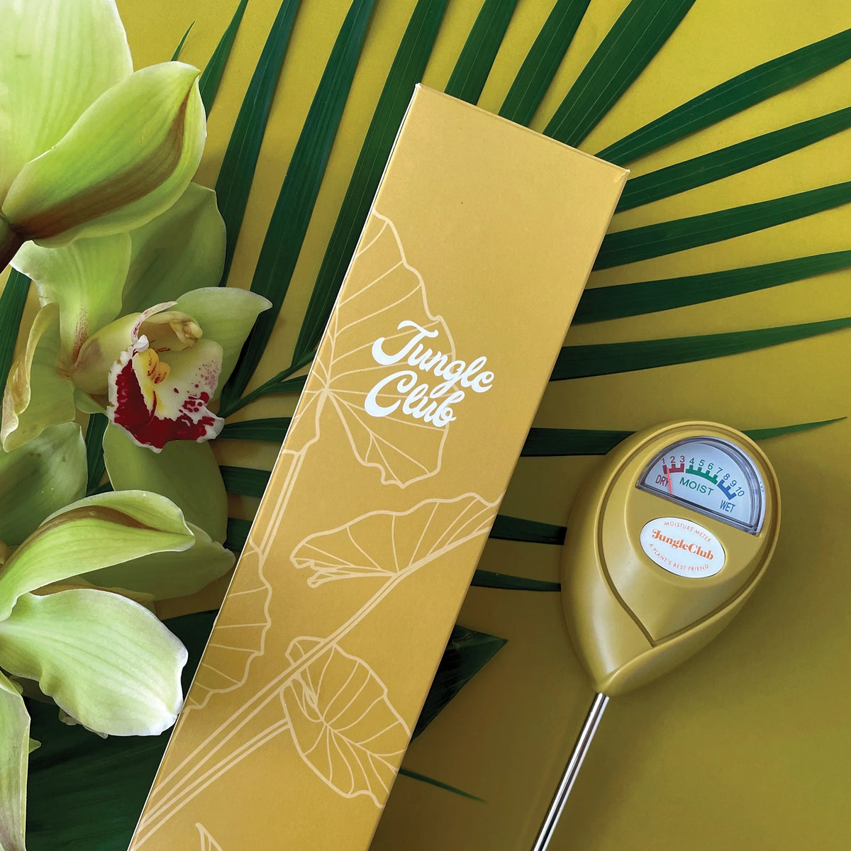 Hygromète « Jungle Club »