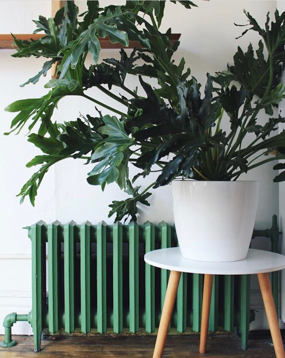 Pot minimaliste