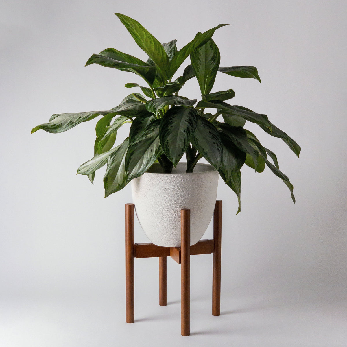 Support pour plantes ajustable