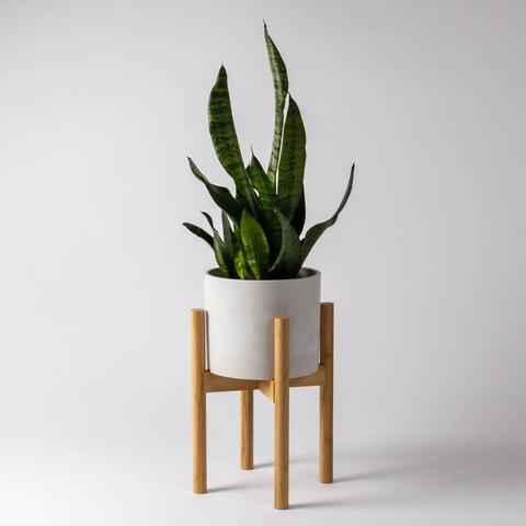 Support pour plantes ajustable