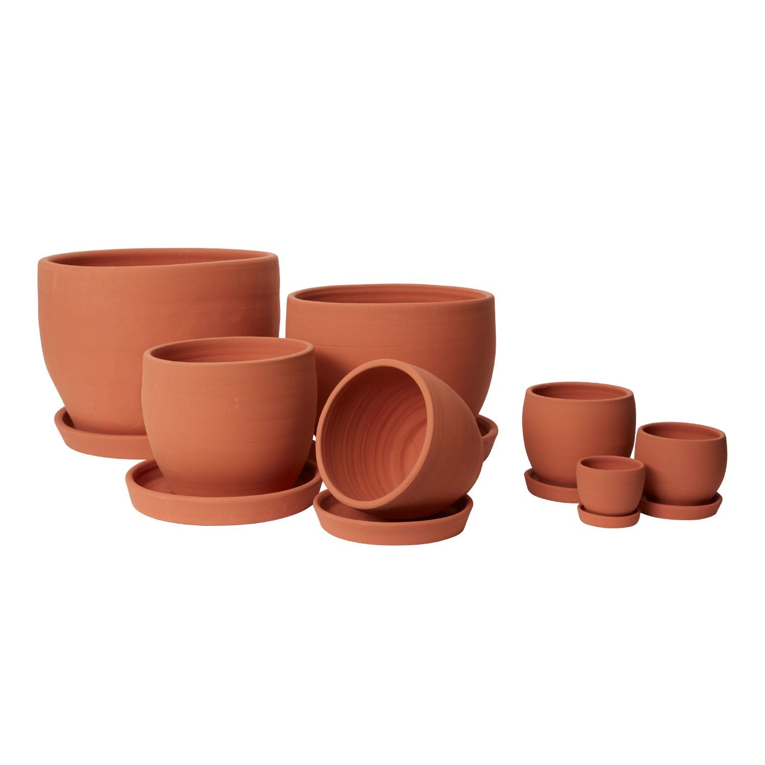 Pot Sunny