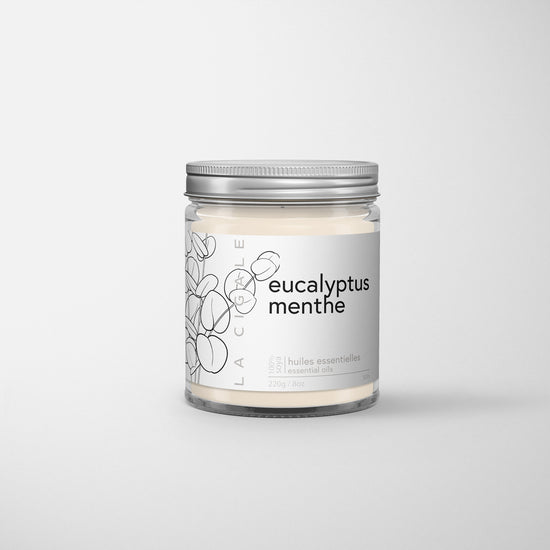 Bougie « La Cigale »