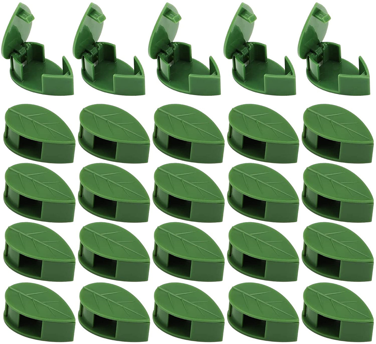 Pinces pour plantes grimpantes