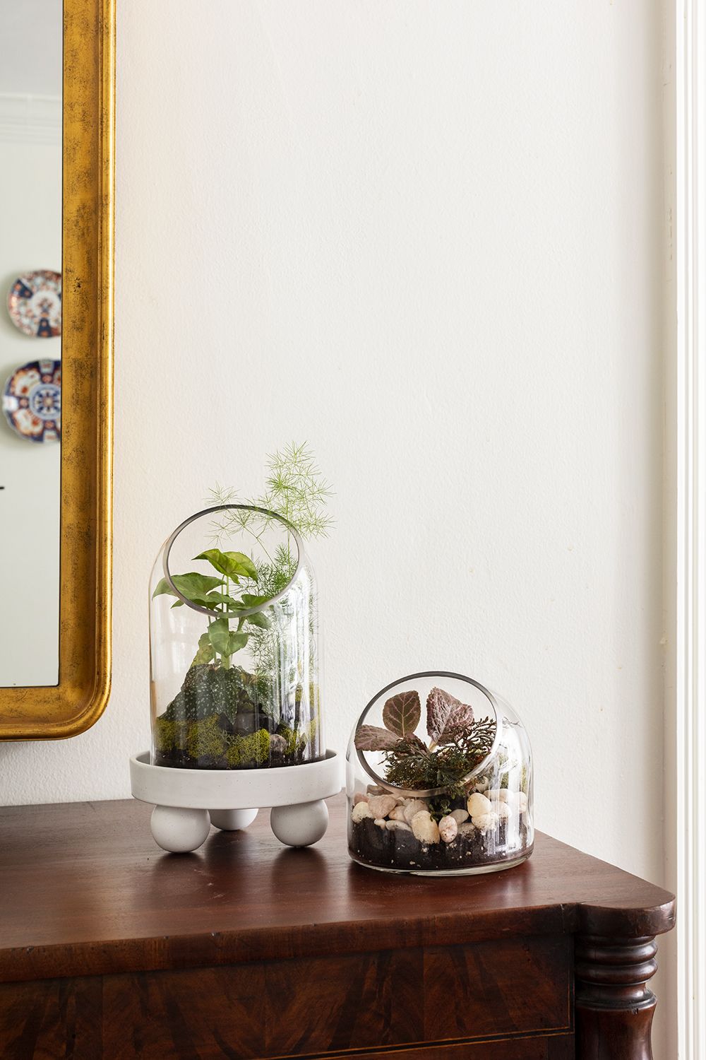 Terrarium Warner